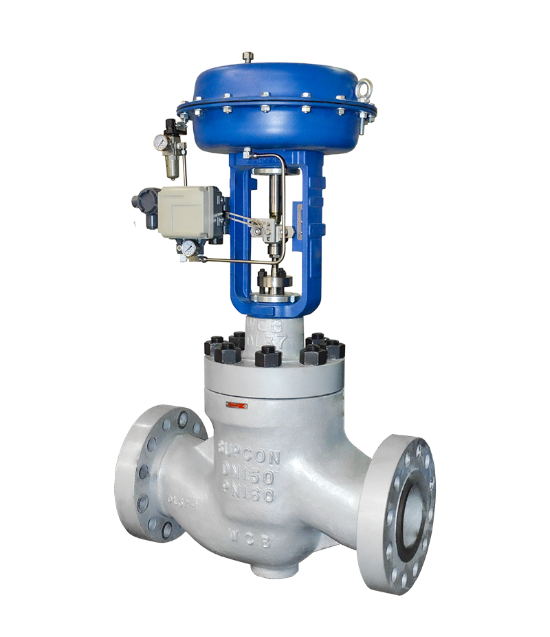Globe Control Valve